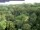 Webcam in Yangambi, 2095.1 km