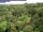 Webcam in Yangambi, 2792.5 km