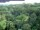 Webcam in Yangambi, 2095.1 km
