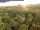 Webcam in Yangambi, 1389.1 km