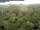 Webcam in Yangambi, 1389.4 km