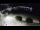 Webcam in Llafranc, 18.6 km entfernt