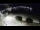 Webcam in Llafranc, 8 km