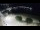 Webcam in Llafranc, 1.1 km