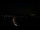 Webcam in L'Ampolla, 11.3 km