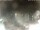 Webcam in Cervia, 8 mi away