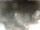 Webcam in Cervia, 14.7 mi away
