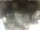 Webcam in Cervia, 8 mi away