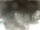 Webcam in Cervia, 8 mi away
