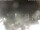 Webcam in Cervia, 11.1 mi away