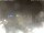 Webcam in Cervia, 13.8 mi away