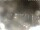 Webcam in Cervia, 2.6 km