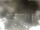 Webcam in Cervia, 12.9 km