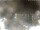 Webcam in Cervia, 24.2 km