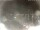 Webcam in Cervia, 1.2 km entfernt