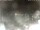 Webcam in Cervia, 2.3 km