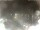 Webcam in Cervia, 2.7 km