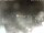 Webcam in Cervia, 8 mi away