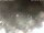 Webcam in Cervia, 8.7 mi away