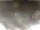Webcam in Cervia, 11.1 mi away