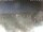 Webcam in Cervia, 39.5 km