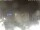 Webcam in Cervia, 0.2 km