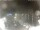 Webcam in Cervia, 21.2 km entfernt