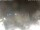 Webcam in Cervia, 0.9 mi away