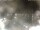 Webcam in Cervia, 3 km entfernt