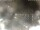 Webcam in Cervia, 2.3 km entfernt