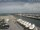 Webcam in Cervia, 8 mi away