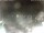 Webcam in Cervia, 15.2 mi away