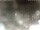 Webcam in Cervia, 8 mi away