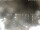 Webcam in Cervia, 0.9 mi away