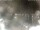 Webcam in Cervia, 2.3 km entfernt