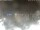 Webcam in Cervia, 13.8 mi away