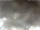Webcam in Cervia, 1.5 km