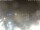 Webcam in Cervia, 11.1 mi away