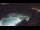 Webcam in Bajamar (Tenerife), 9.5 mi away