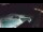 Webcam in Bajamar (Tenerife), 185.4 mi away