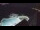 Webcam in Bajamar (Tenerife), 459.4 km