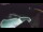 Webcam in Bajamar (Teneriffa), 478.6 km entfernt