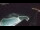 Webcam in Bajamar (Tenerife), 4.7 mi away
