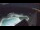 Webcam in Bajamar (Tenerife), 1 km