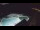 Webcam in Bajamar (Tenerife), 9.8 mi away