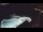 Webcam in Bajamar (Tenerife), 5.4 mi away