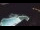 Webcam in Bajamar (Tenerife), 5.4 mi away