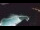 Webcam in Bajamar (Tenerife), 461.5 km