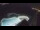 Webcam in Bajamar (Tenerife), 178 mi away