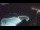 Webcam in Bajamar (Tenerife), 475.3 km
